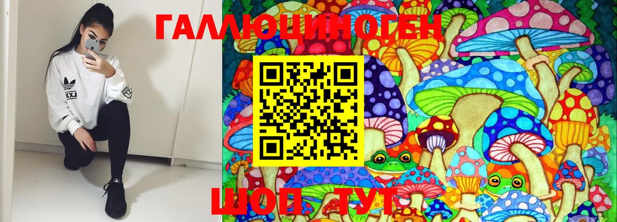 Озёрск  Псилоцибиновые грибы Psilocybine cubensis  Вход с VPN 
